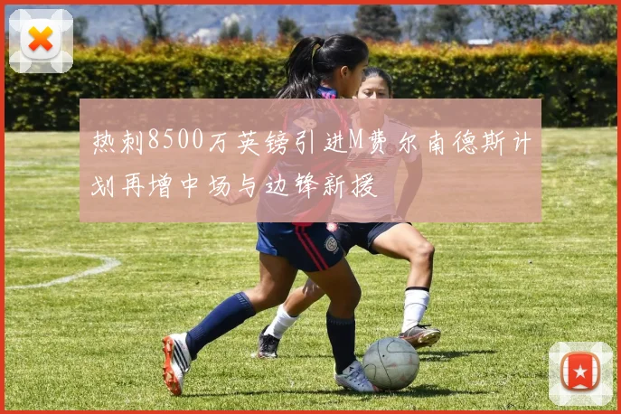 热刺8500万英镑引进M费尔南德斯计划再增中场与边锋新援